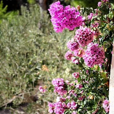 By The Sea Zaboric, Sibenik - 468 * ז'אבוריץ'