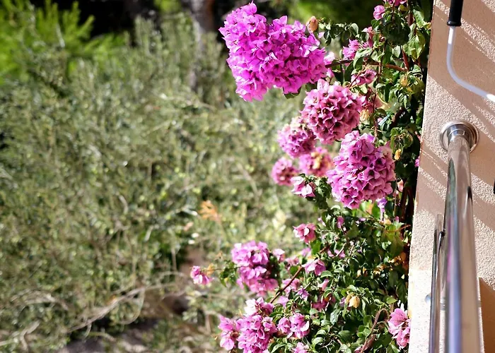 By The Sea Zaboric, Sibenik - 468 * ז'אבוריץ'